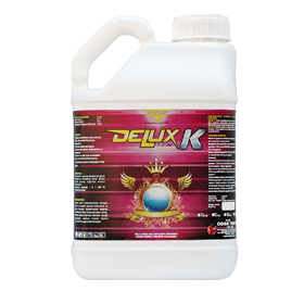 DELUX K (7-0-20) class=